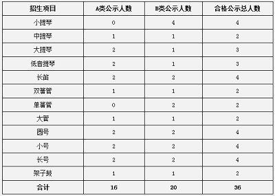 中南大学2019年高水平艺术团招生简章